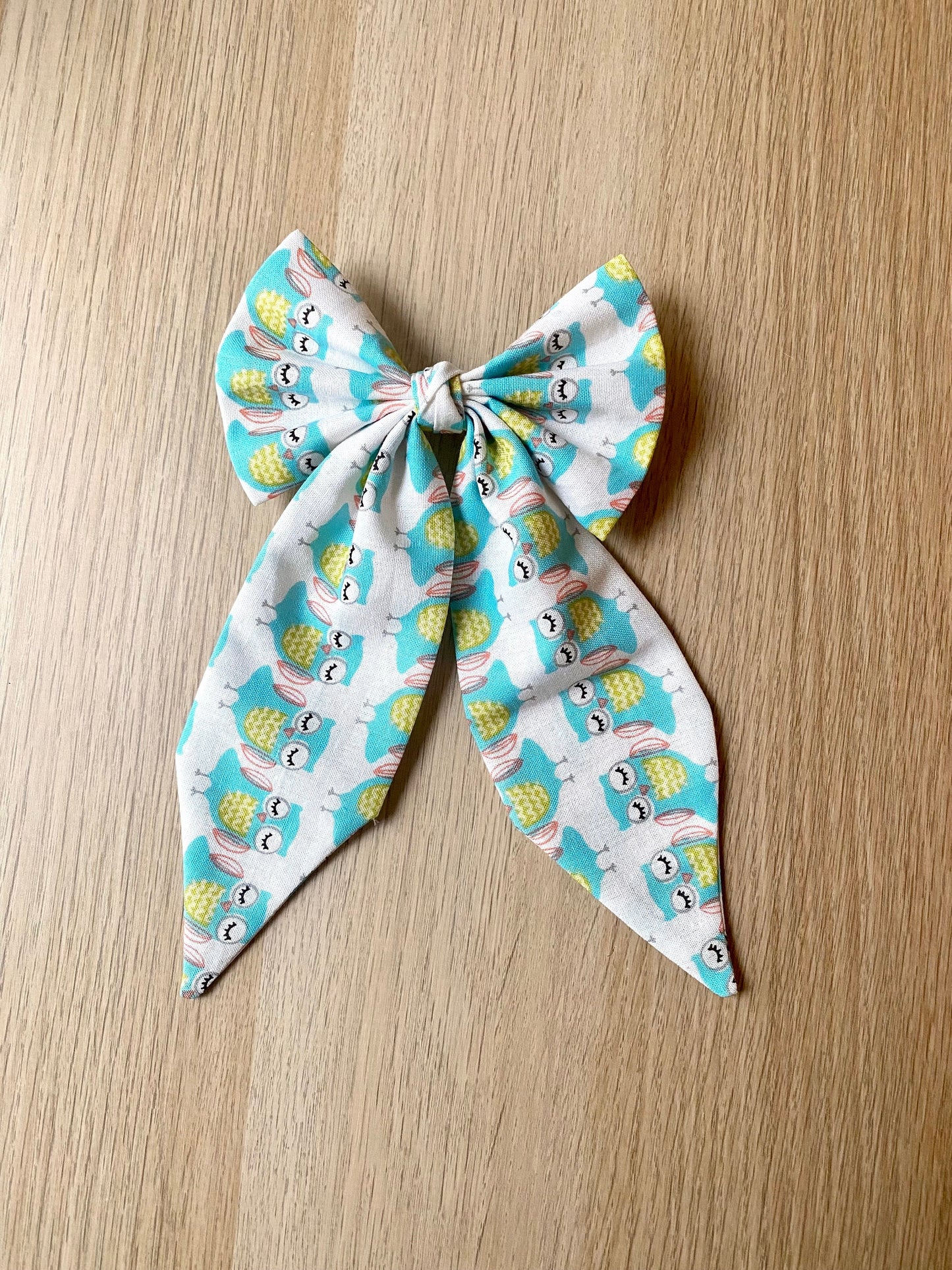 Barrette pour une journée à la plage