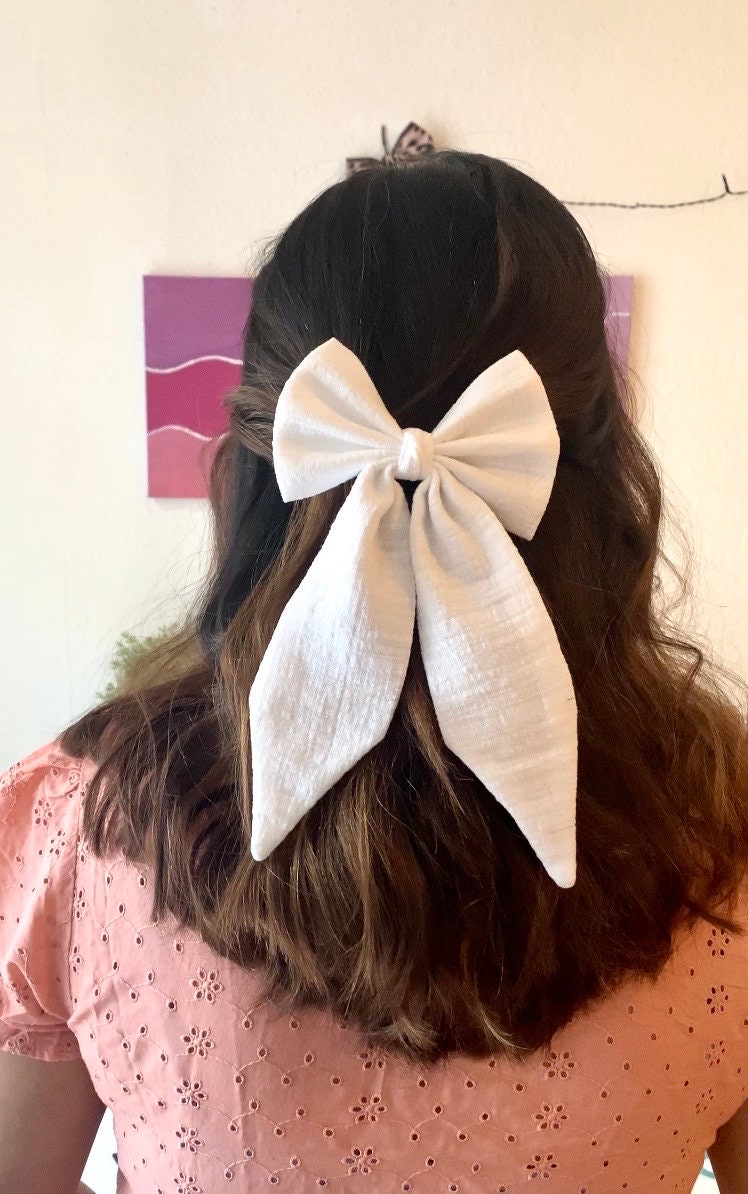 Barrette pour une journée à la plage